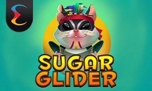 Sugar Glider